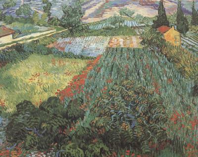 Vincent Van Gogh Field with Poppies (nn04)